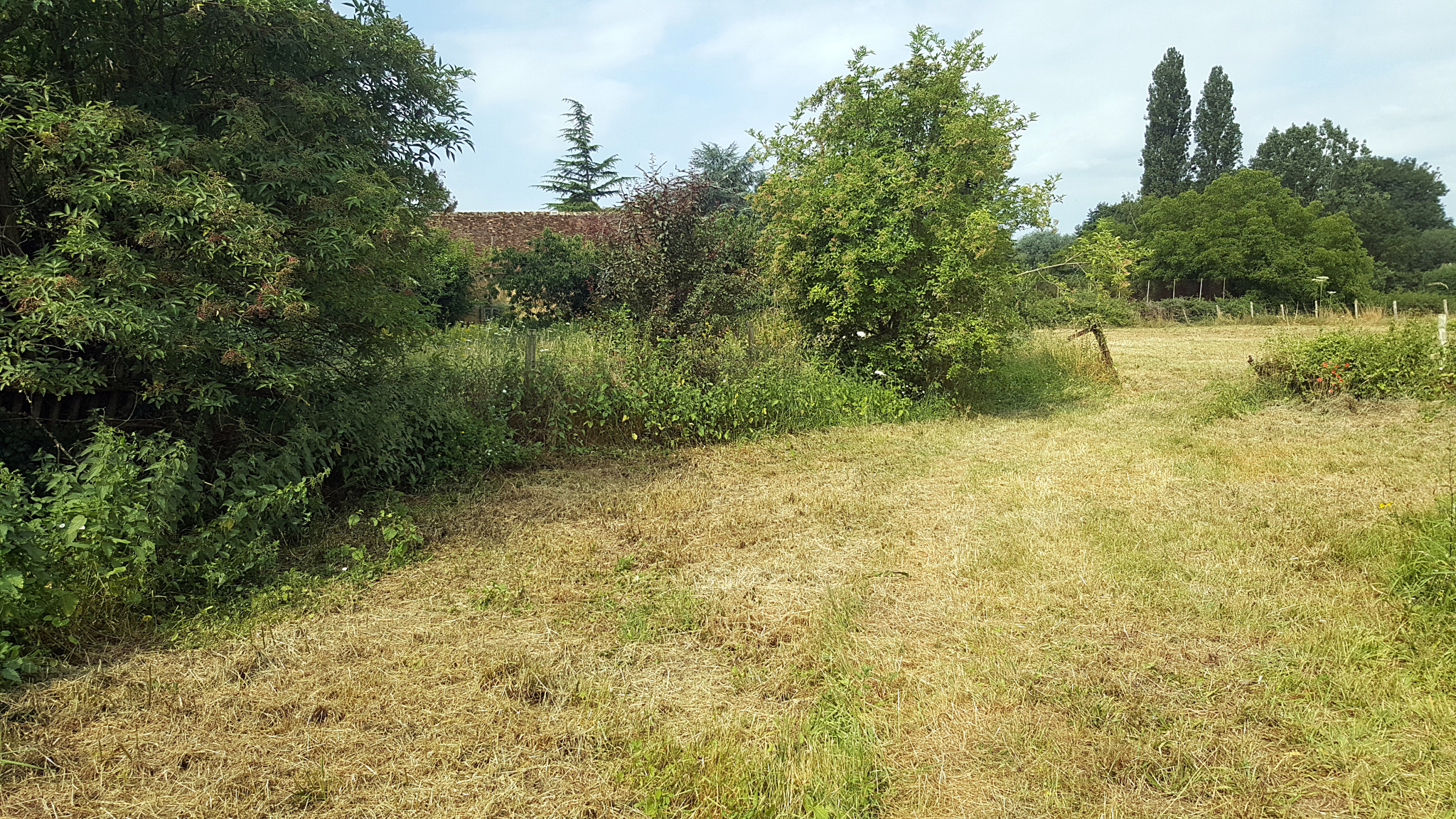 vente Torcé en Vallée